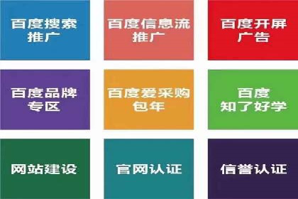 SEM代理案例：揭秘成功背后的秘密